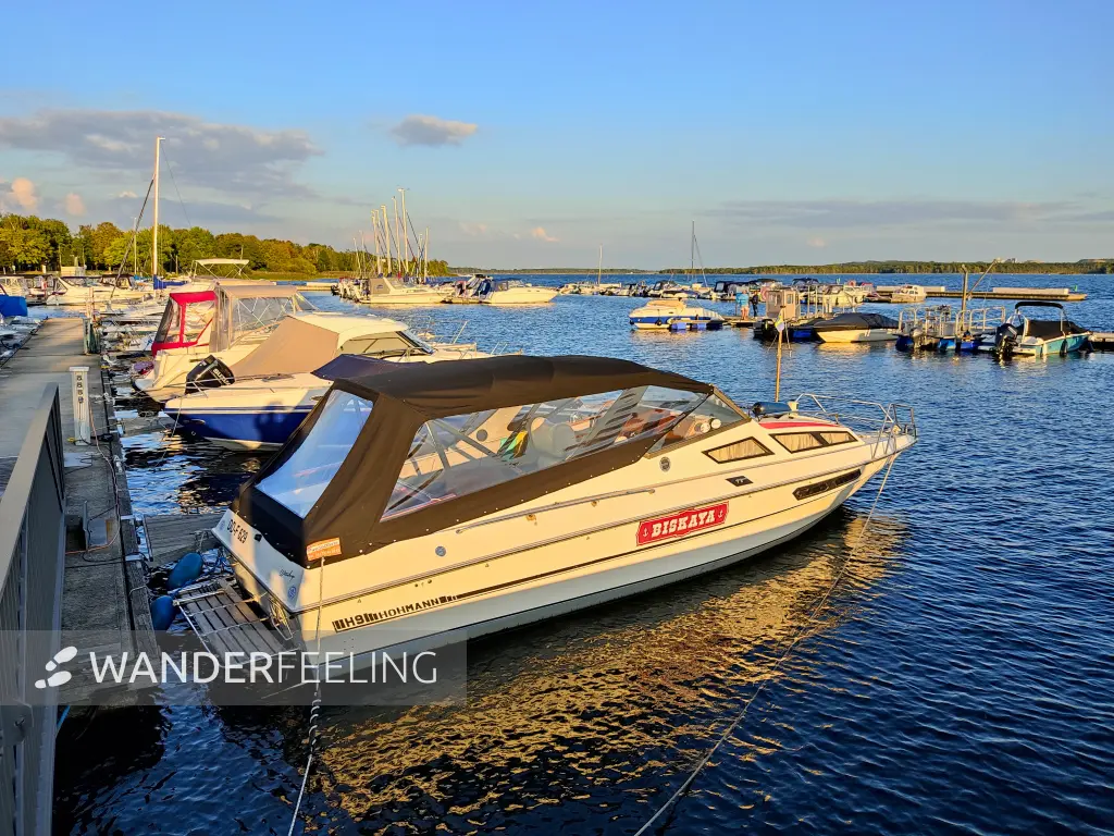 202309150-36 - Stadthafen am Senftenberger See bei Senftenberg, Lausitz, Brandenburg, Deutschland