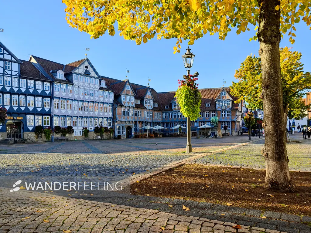 202210040-57 - Stadtmarkt in Wolfenbüttel, Niedersachsen, Deutschland