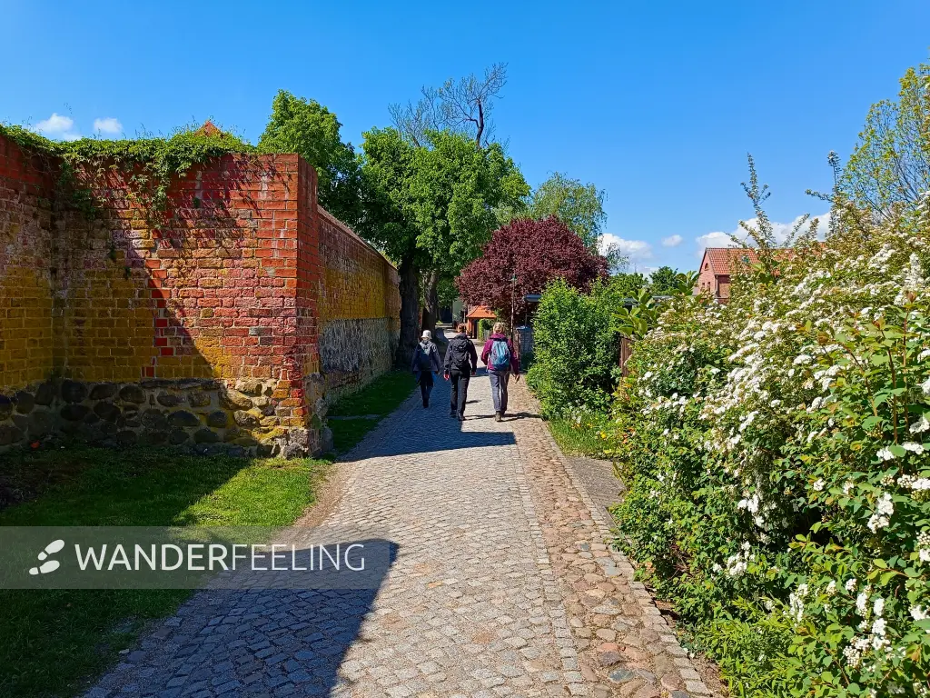 202605090-09 - Stadtmauer in Angermünde, Uckermark, Brandenburg, Deutschland