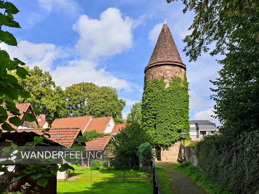 202308150-03 - Stadtmauer mit Wehrturm in Lügde, Weserbergland, Nordrhein-Westfalen, Deutschland