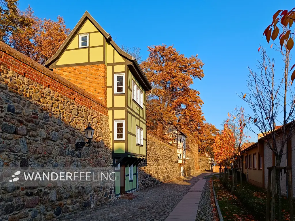 202511071-04 - Stadtmauer mit Wiekhäusern in Neubrandenburg, Mecklenburgische Seenplatte, Mecklenburg-Vorpommern, Deutschland