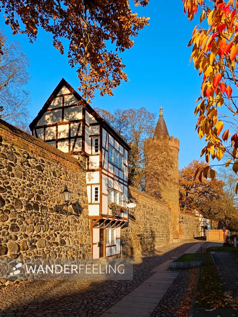 202511071-01 - Stadtmauer mit Wiekhaus und Fangelturm in Neubrandenburg, Mecklenburgische Seenplatte, Mecklenburg-Vorpommern, Deutschland