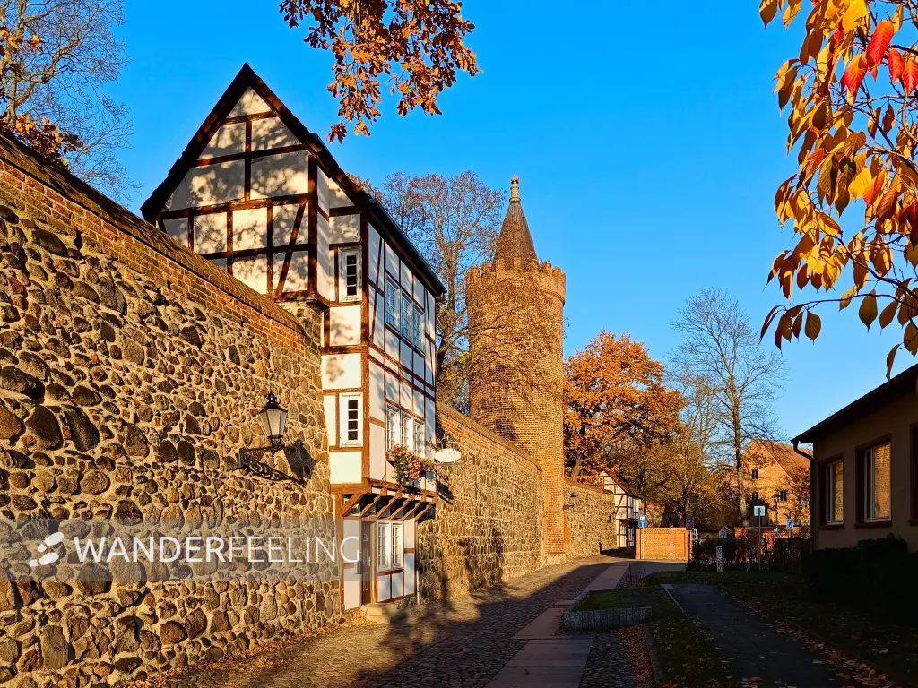 202511071-02 - Stadtmauer mit Wiekhaus und Fangelturm in Neubrandenburg, Mecklenburgische Seenplatte, Mecklenburg-Vorpommern, Deutschland