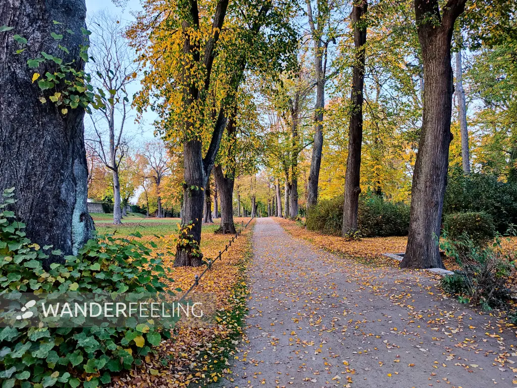 202210260-40 - Stadtpark in Prenzlau, Uckermark, Brandenburg, Deutschland