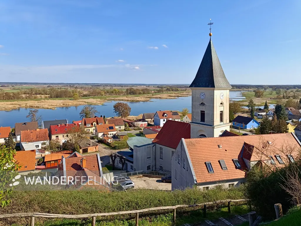 202604150-34 - Stadtpfarrkirche St. Marien in Lebus, Seenland Oder-Spree, Brandenburg, Deutschland
