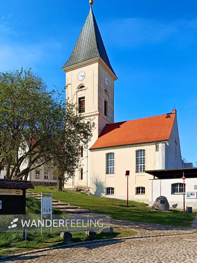 202604150-35 - Stadtpfarrkirche St. Marien in Lebus, Seenland Oder-Spree, Brandenburg, Deutschland