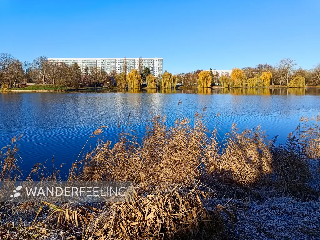 202511210-01 - Stadtsee in Stendal, Altmark, Sachsen-Anhalt, Deutschland