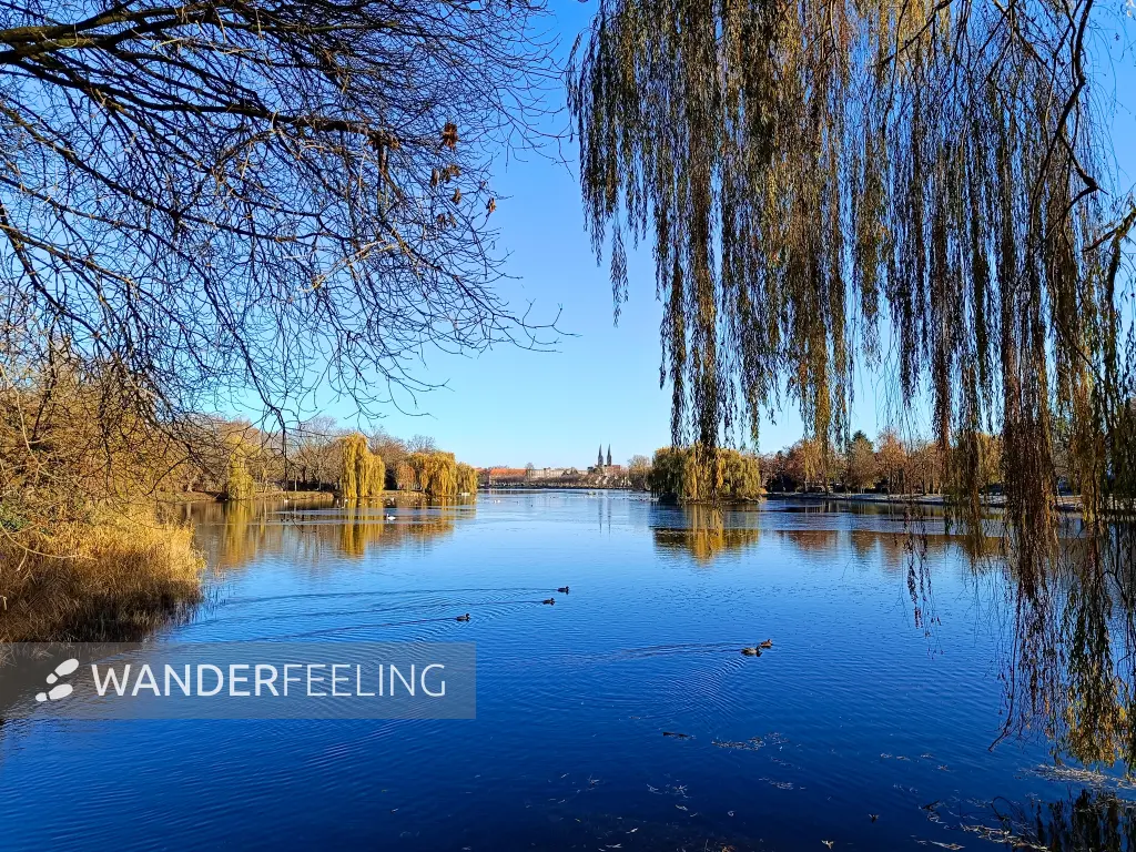 202511210-04 - Stadtsee in Stendal, Altmark, Sachsen-Anhalt, Deutschland