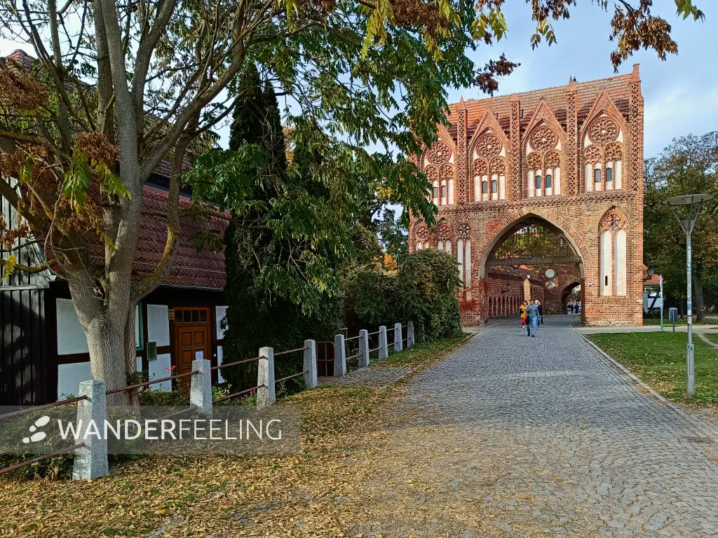 202510210-44 - Stargarder Tor in Neubrandenburg, Mecklenburgische Seenplatte, Mecklenburg-Vorpommern, Deutschland