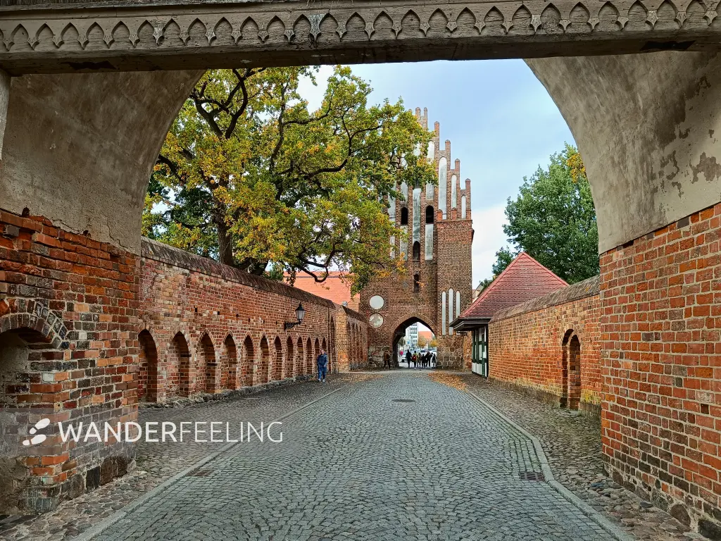 202510210-46 - Stargarder Tor in Neubrandenburg, Mecklenburgische Seenplatte, Mecklenburg-Vorpommern, Deutschland