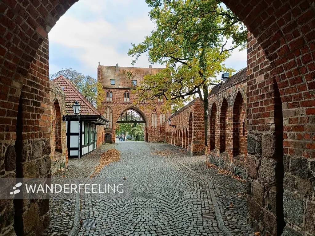 202510210-47 - Stargarder Tor in Neubrandenburg, Mecklenburgische Seenplatte, Mecklenburg-Vorpommern, Deutschland