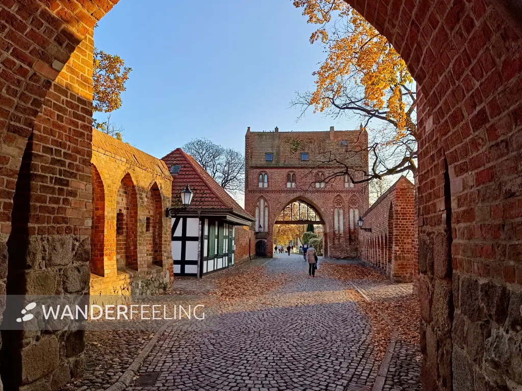 202511071-08 - Stargarder Tor in Neubrandenburg, Mecklenburgische Seenplatte, Mecklenburg-Vorpommern, Deutschland