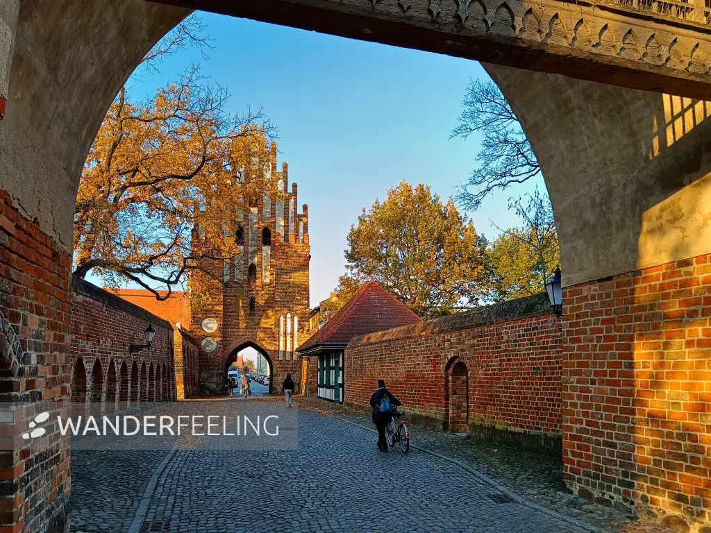 202511071-10 - Stargarder Tor in Neubrandenburg, Mecklenburgische Seenplatte, Mecklenburg-Vorpommern, Deutschland