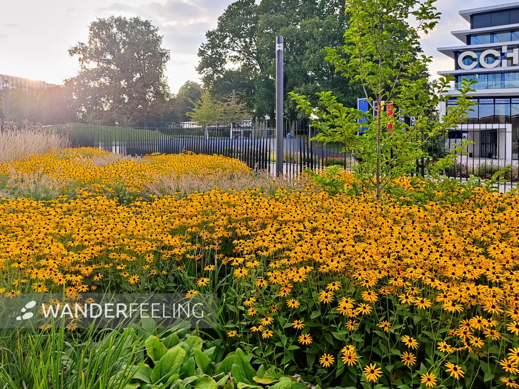 202309220-29 - Staudenbeet in Planten un Blomen, Hamburg, Deutschland