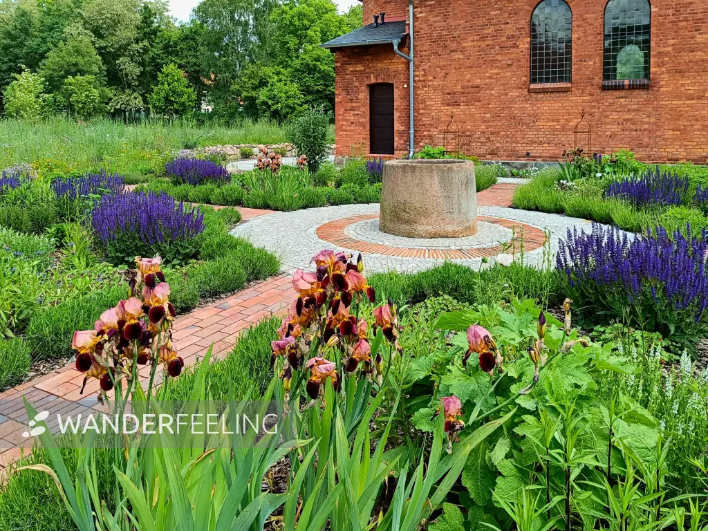 202505310-06 - Staudengarten am Gut Schmerwitz, Fläming, Brandenburg, Deutschland