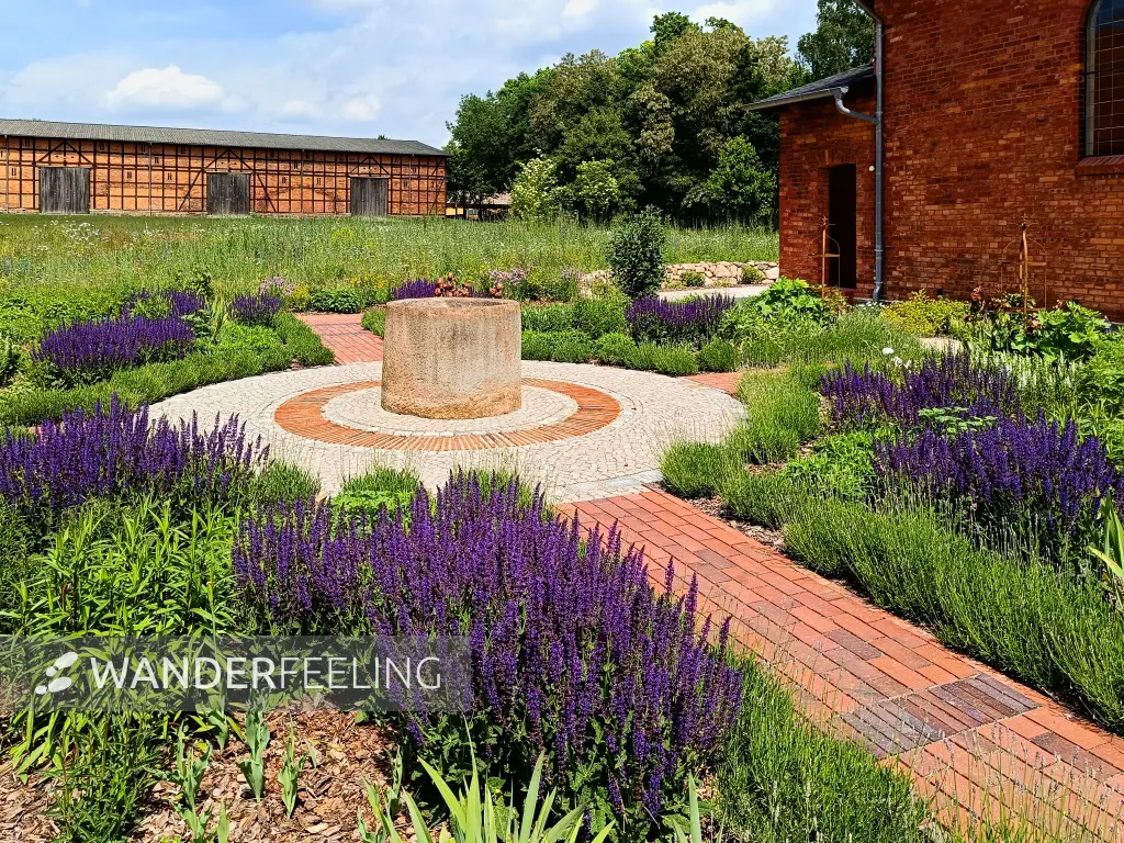 202505310-07 - Staudengarten am Gut Schmerwitz, Fläming, Brandenburg, Deutschland