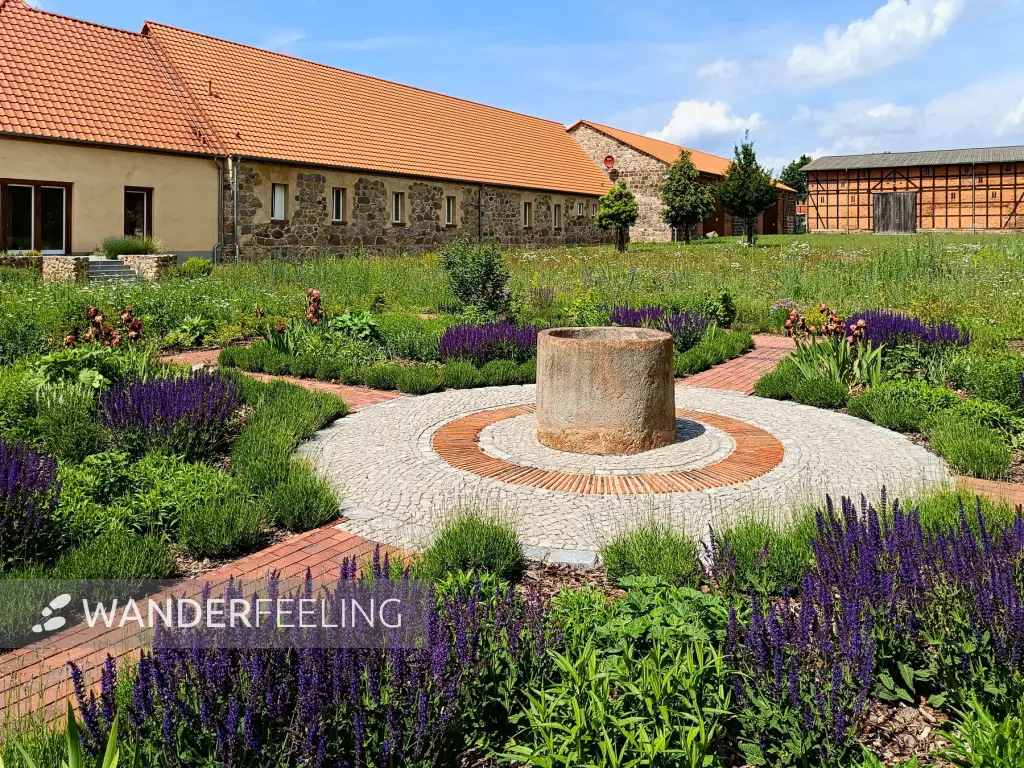 202505310-08 - Staudengarten am Gut Schmerwitz, Fläming, Brandenburg, Deutschland