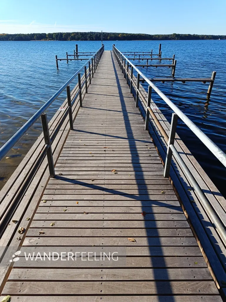 202610190-18 - Steg im Scharmützelsee bei Diensdorf, Seenland Oder-Spree, Brandenburg, Deutschland