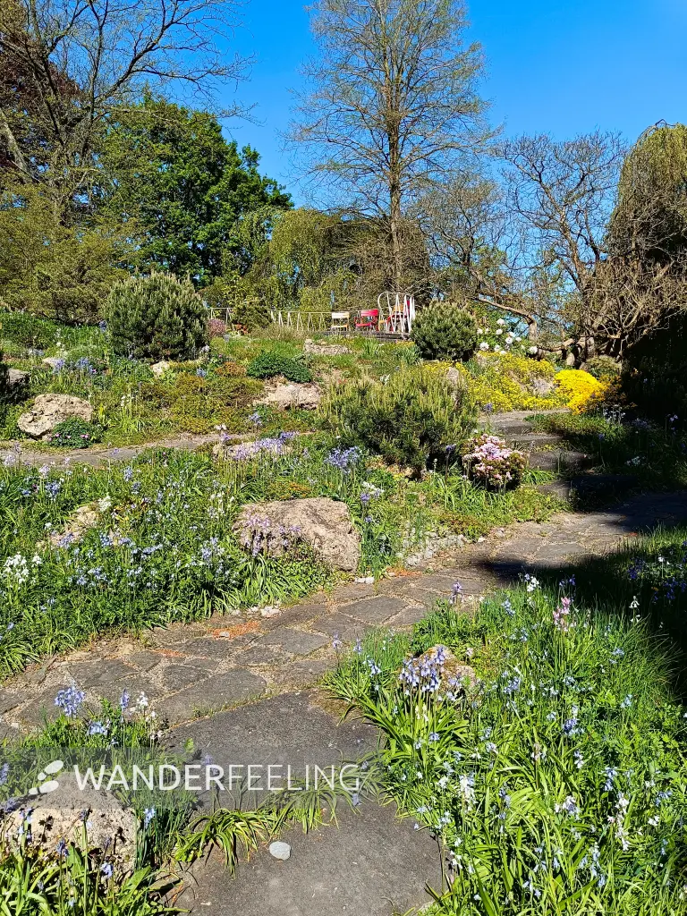 202604231-01 - Steingarten im Botanischen Garten in Neuss, Niederrhein, Nordrhein-Westfalen, Deutschland