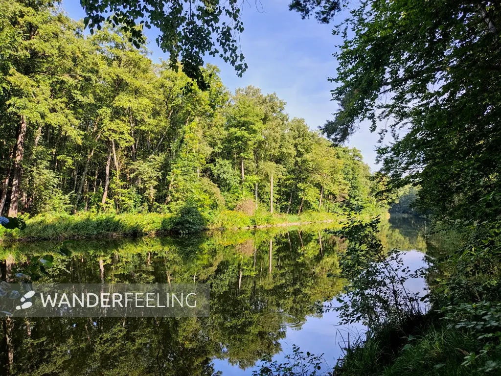 202309110-05 - Steinhavel bei Fürstenberg, Ruppiner Seenland, Brandenburg, Deutschland