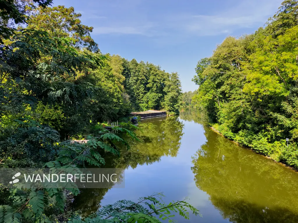 202309110-11 - Steinhavel bei Steinförde, Ruppiner Seenland, Brandenburg, Deutschland