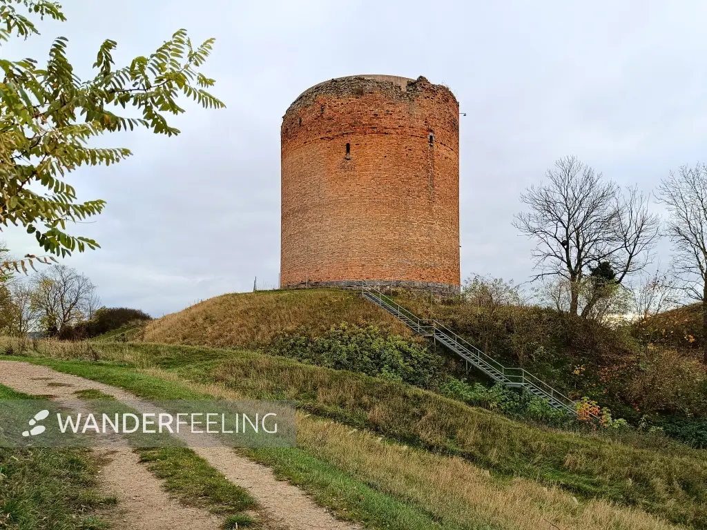 202411040-25 - Stolper Turm (»Grützpott«) in Stolpe, Uckermark, Brandenburg, Deutschland