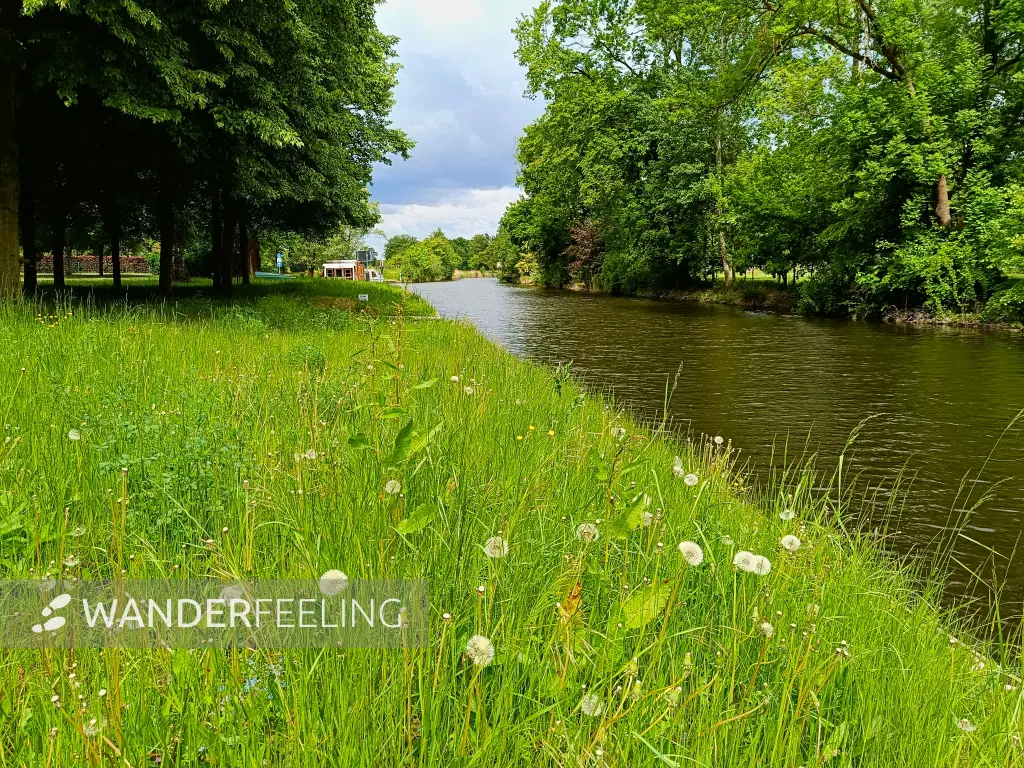 202505170-16 - Storkower Kanal bei Philadelphia, Seenland Oder-Spree, Brandenburg, Deutschland