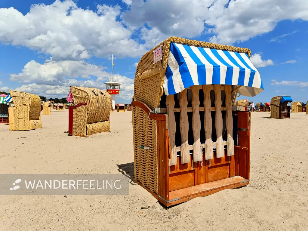 202407080-11 - Strandkorb am Strand von Travemünde, Lübecker Bucht, Schleswig-Holstein, Deutschland