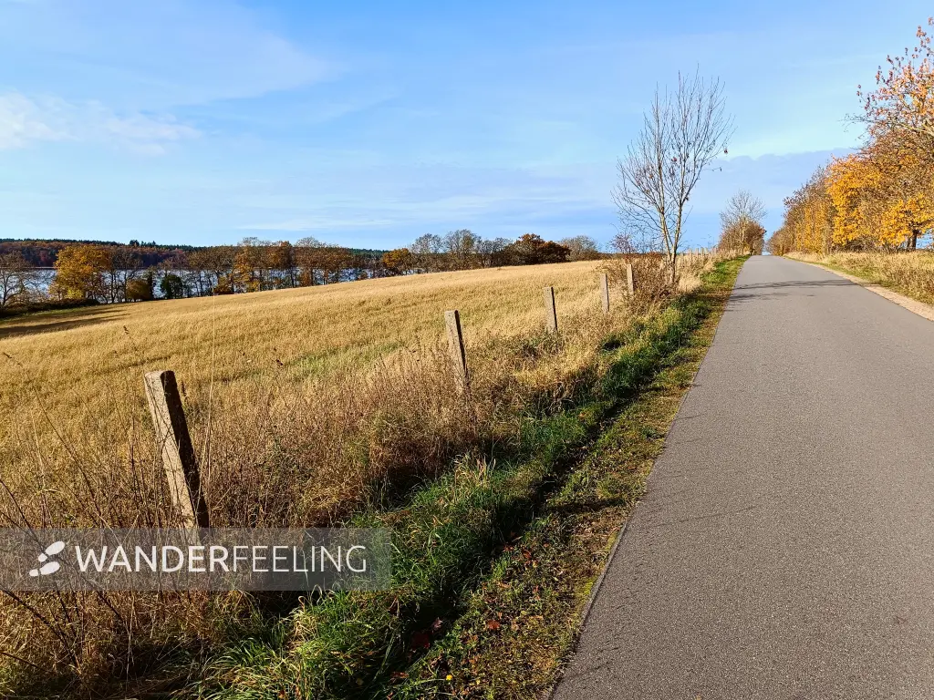 202511050-19 - Straße nach Groß Labenz, Mecklenburgische Seenplatte, Mecklenburg-Vorpommern, Deutschland