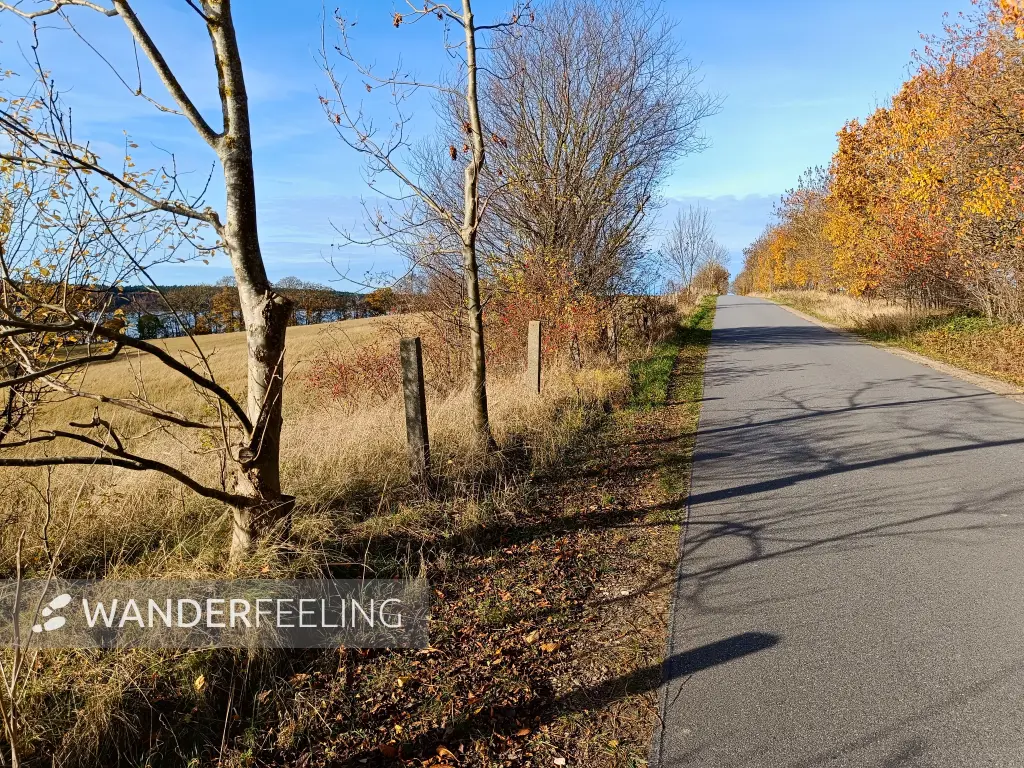 202511050-20 - Straße nach Groß Labenz, Mecklenburgische Seenplatte, Mecklenburg-Vorpommern, Deutschland