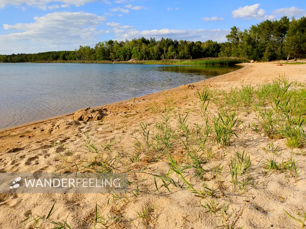 202309150-26 - Südsee am Senftenberger See zwischen Großkoschen und Niemtsch, Lausitz, Brandenburg, Deutschland
