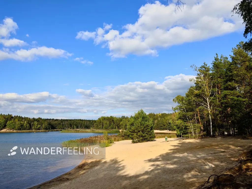 202309150-29 - Südsee am Senftenberger See zwischen Großkoschen und Niemtsch, Lausitz, Brandenburg, Deutschland