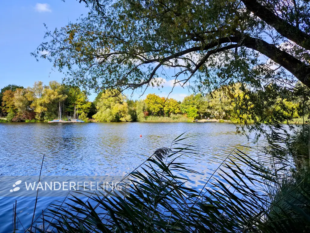 202210040-34 - Südsee in Braunschweig, Niedersachsen, Deutschland