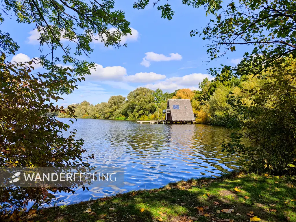 202210040-35 - Südsee in Braunschweig, Niedersachsen, Deutschland