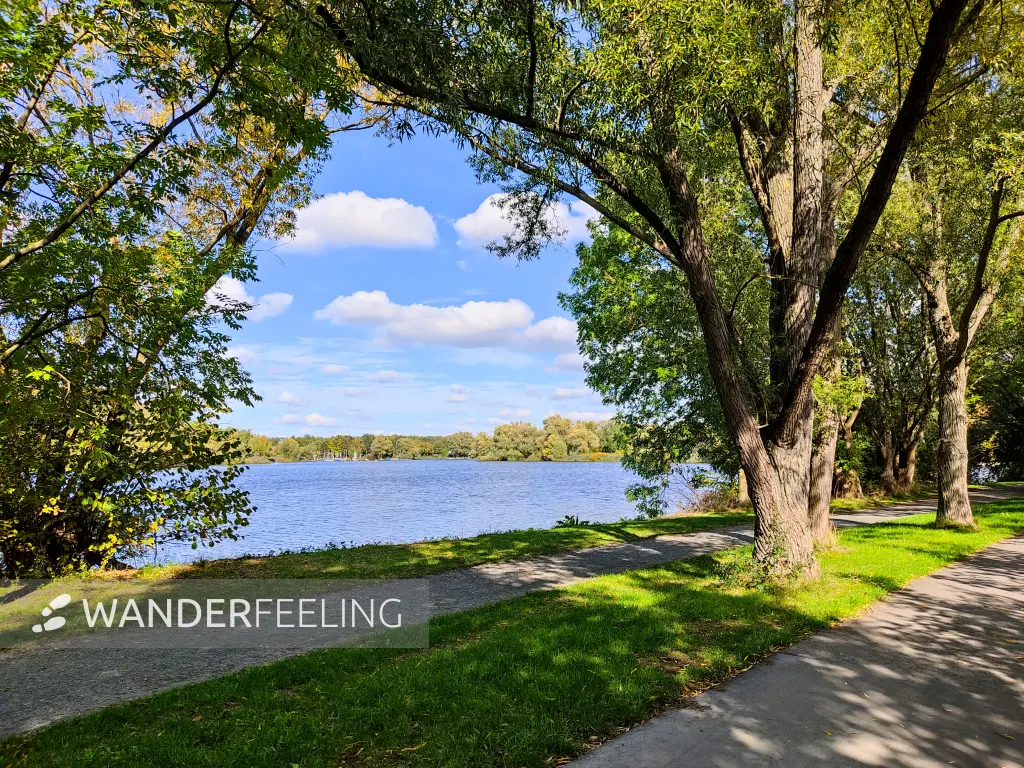 202210040-36 - Südsee in Braunschweig, Niedersachsen, Deutschland