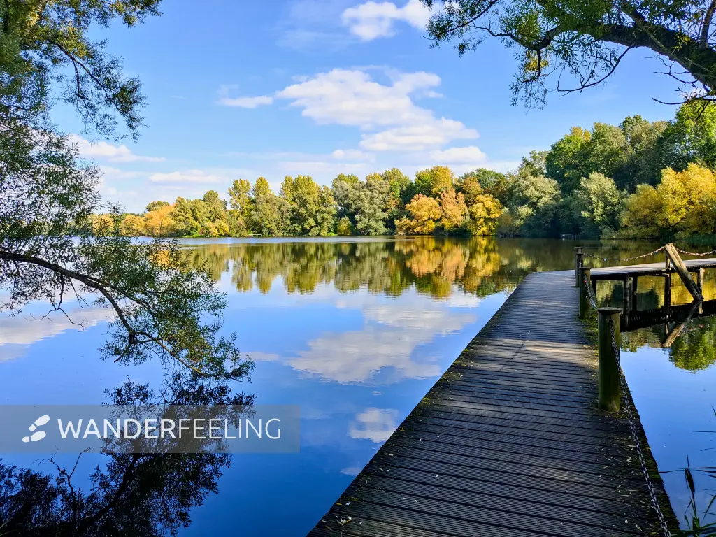 202210040-39 - Südsee in Braunschweig, Niedersachsen, Deutschland
