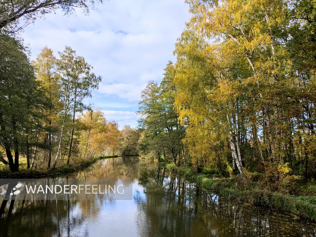 202311040-35 - Südumfluter bei Boblitz, Spreewald, Brandenburg, Deutschland