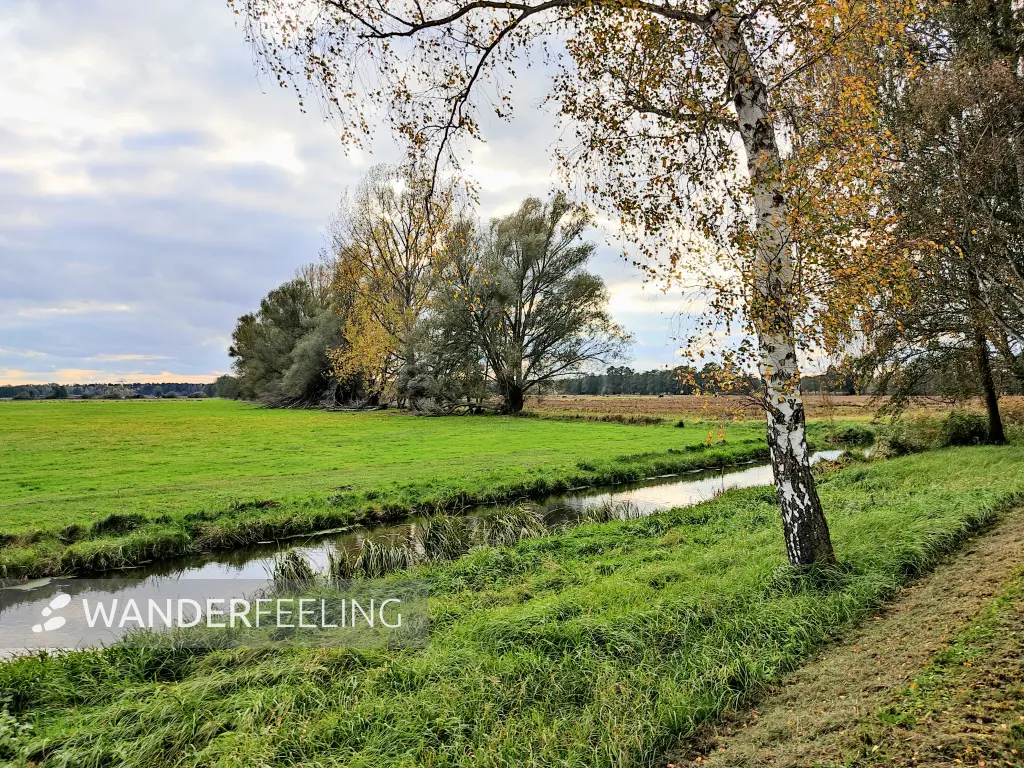 202311040-38 - Südumfluter bei Raddusch, Spreewald, Brandenburg, Deutschland