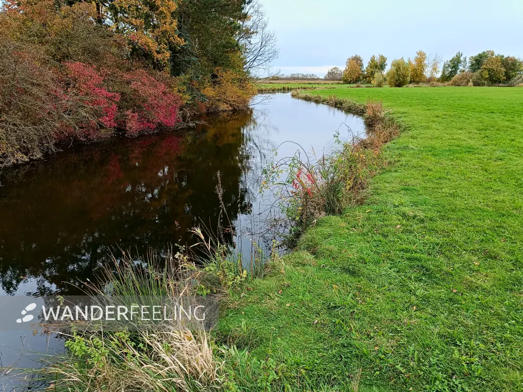202410210-27 - Teich in der Ilmenau-Luhe-Niederung bei Winsen (Luhe), Lüneburger Heide, Niedersachsen, Deutschland