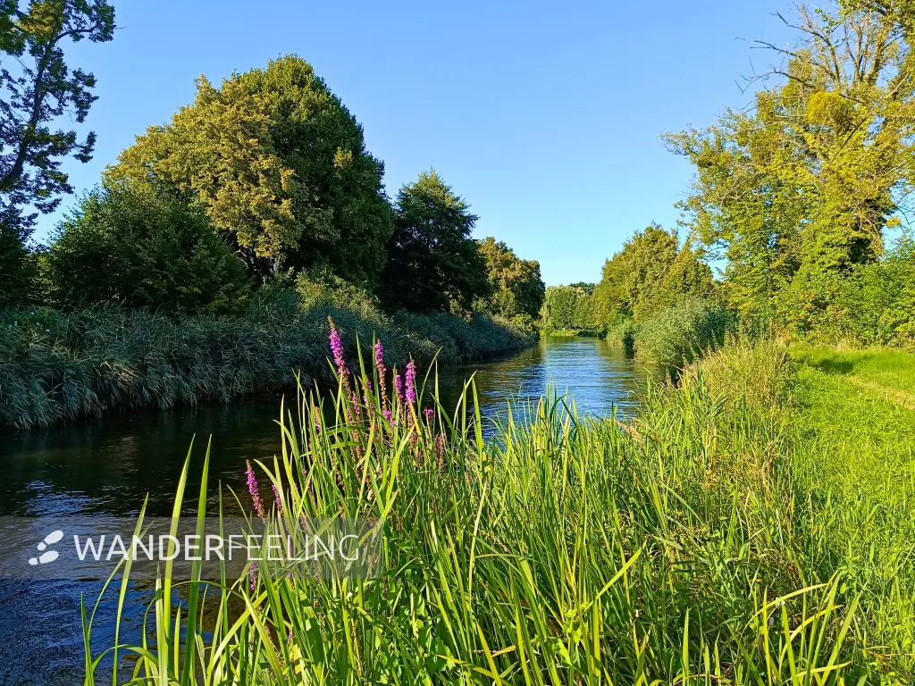 202508160-31 - Templiner Kanal bei Templin, Uckermark, Brandenburg, Deutschland