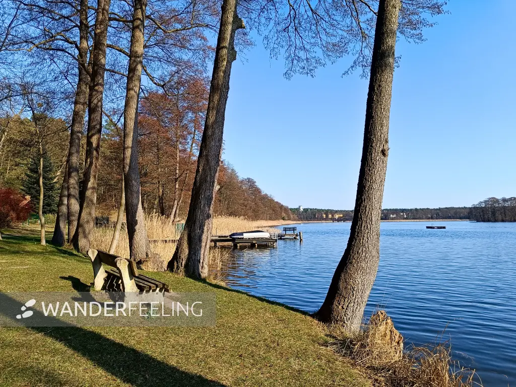202503210-20 - Templiner See bei Templin, Uckermark, Brandenburg, Deutschland