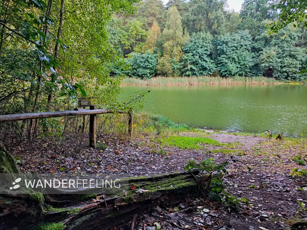 202310140-06 - Teufelssee im Erholungswald Ravensberge, Potsdam, Brandenburg, Deutschland