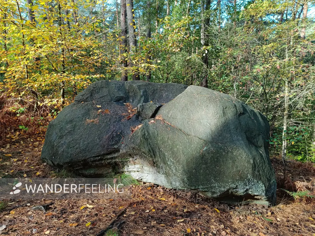 202610140-05 - Teufelsstein bei Walddrehna, Lausitz, Brandenburg, Deutschland