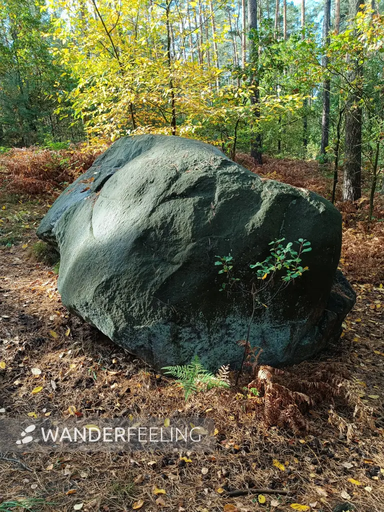 202610140-06 - Teufelsstein bei Walddrehna, Lausitz, Brandenburg, Deutschland