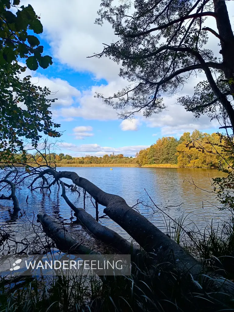202510180-17 - Tiefwarensee bei Amsee, Mecklenburgische Seenplatte, Mecklenburg-Vorpommern, Deutschland