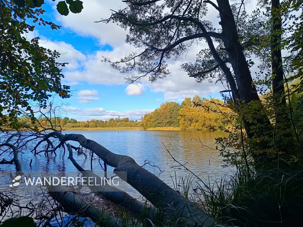 202510180-18 - Tiefwarensee bei Amsee, Mecklenburgische Seenplatte, Mecklenburg-Vorpommern, Deutschland
