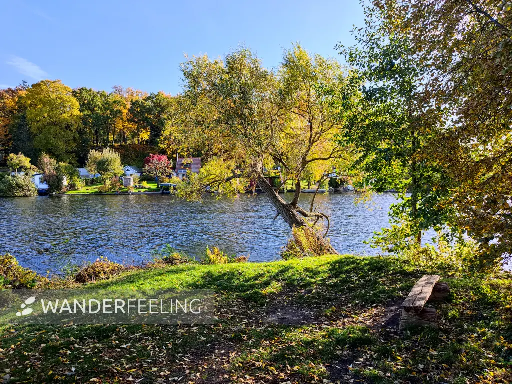202310300-08 - Tiefwarensee bei Waren, Mecklenburgische Seenplatte, Mecklenburg-Vorpommern, Deutschland