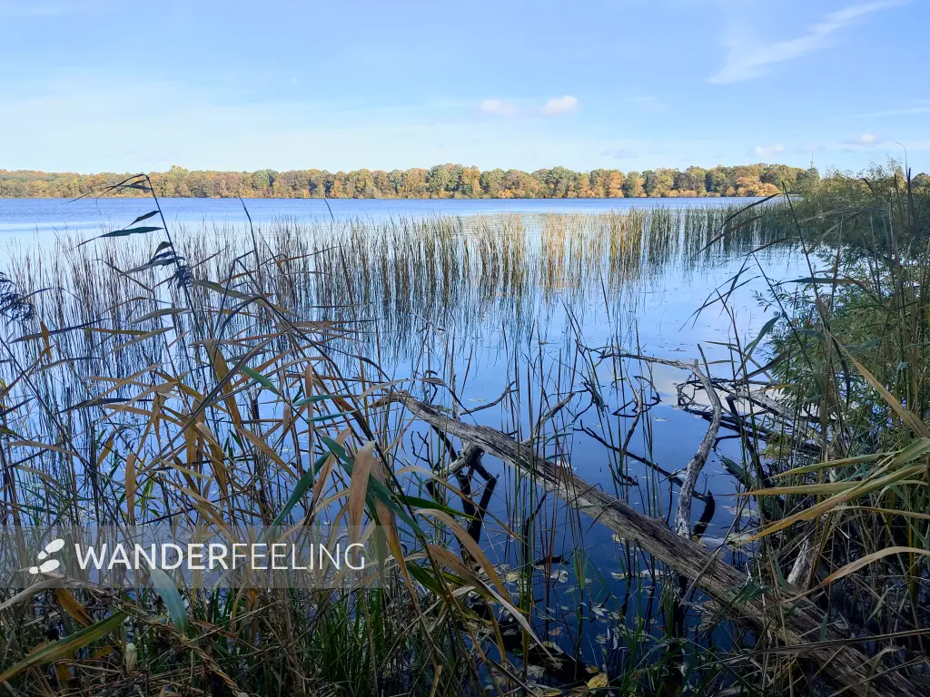 202310300-10 - Tiefwarensee bei Waren, Mecklenburgische Seenplatte, Mecklenburg-Vorpommern, Deutschland