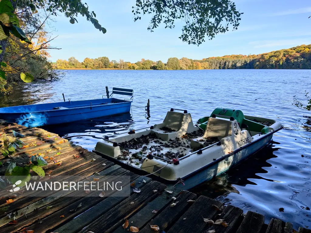 202310300-16 - Tiefwarensee bei Waren, Mecklenburgische Seenplatte, Mecklenburg-Vorpommern, Deutschland