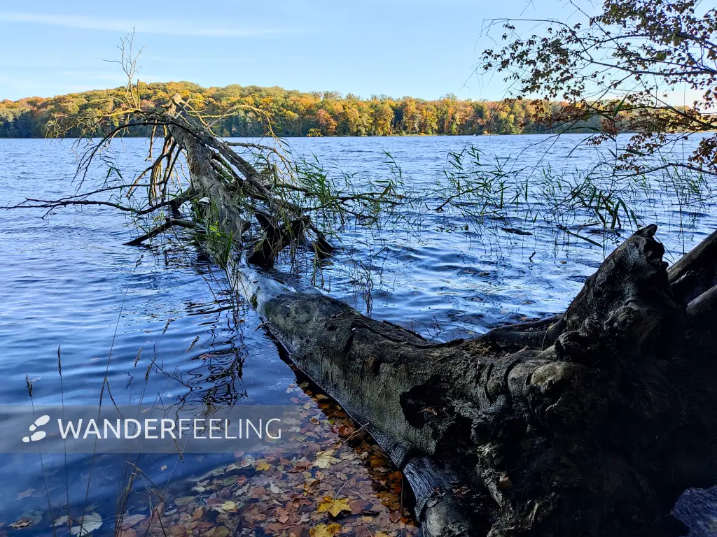 202310300-17 - Tiefwarensee bei Waren, Mecklenburgische Seenplatte, Mecklenburg-Vorpommern, Deutschland